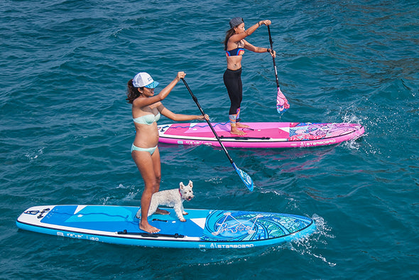 STARBOARD SUP'S & WINGBOARDS